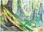 Pour la sauvegarde des forêts