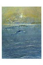 Baleines